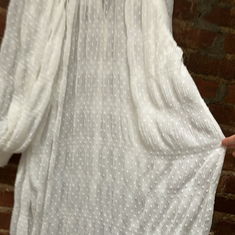 Zara White Sheer Swiss Dot Maxi Dress Sz XS - Picture 6 of 6